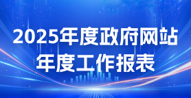 2025年度政府网站年度工作报表