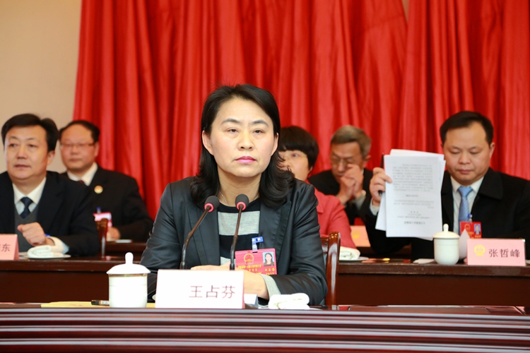 县人大常委会党组书记季晓春受县十四届人民代表大会常务委员会委托向