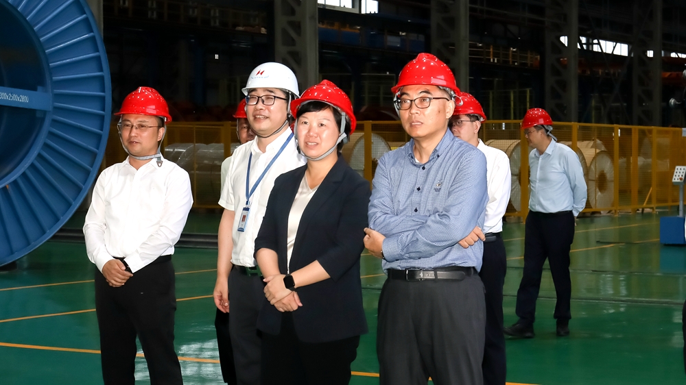 图国家发改委一带一路建设促进中心调研组来射调研