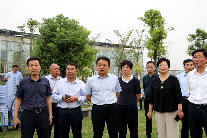 9月21日下午,县委书记唐敬到洋马镇鹤乡菊海现代农业产业园检查督导"