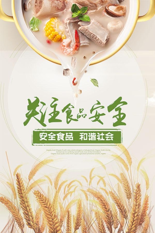 射阳县人民政府 食品安全公益广告 安全食品 和谐社会