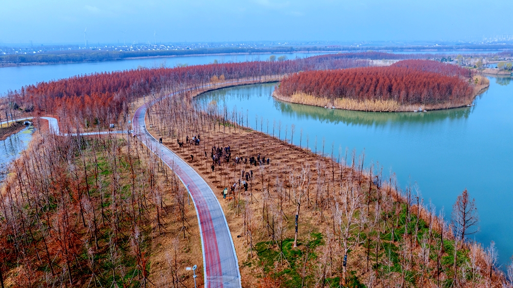 [图]我县开展全民义务植树活动