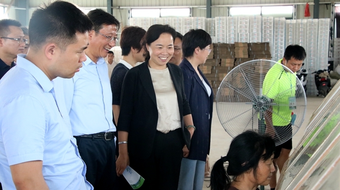 图为常州市武进区副区长薛红霞带领企业家考察团在四明镇食用菌产业